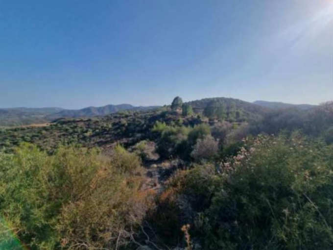 land for sale, Larnaca, Lageia, Property for sale or rent in Cyprus