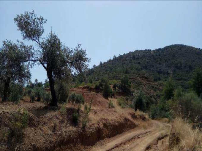 land for sale, Nicosia, Lythrodontas, Property for sale or rent in Cyprus