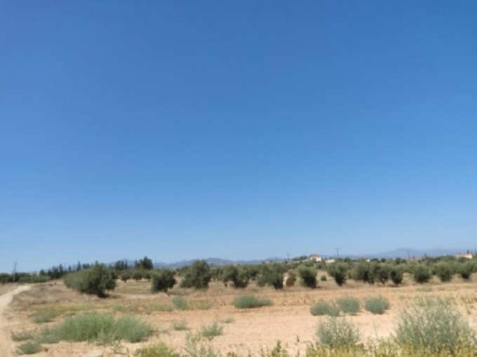 land for sale, Nicosia, Psimolofou, Property for sale or rent in Cyprus