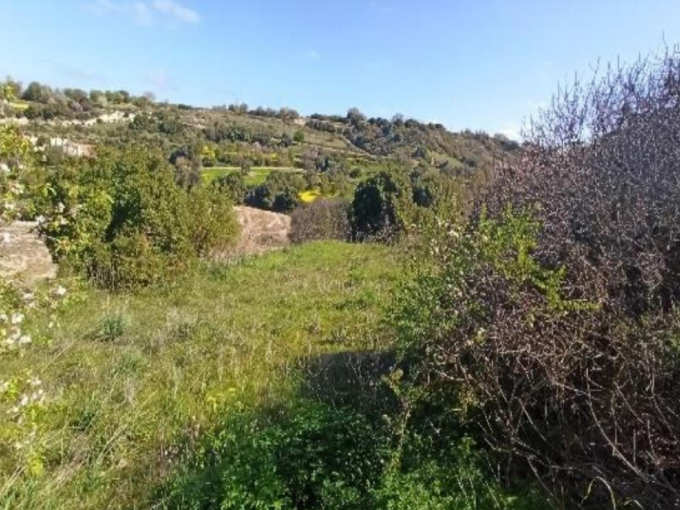 land for sale, Paphos, Drymou, Property for sale or rent in Cyprus