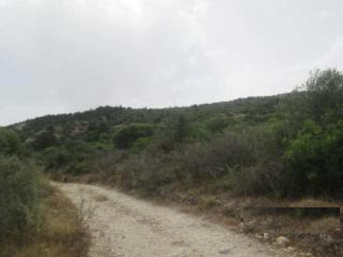 land for sale, Paphos, Koili, Property for sale or rent in Cyprus