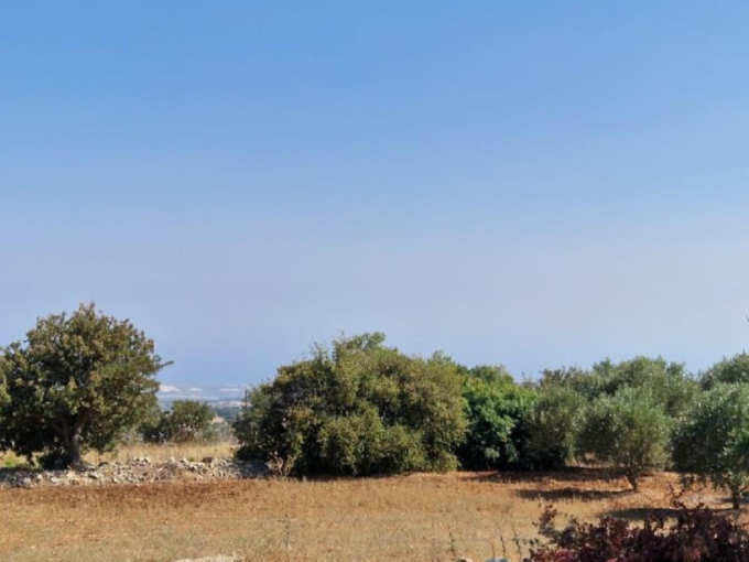 land for sale, Limassol, Pachna, Property for sale or rent in Cyprus