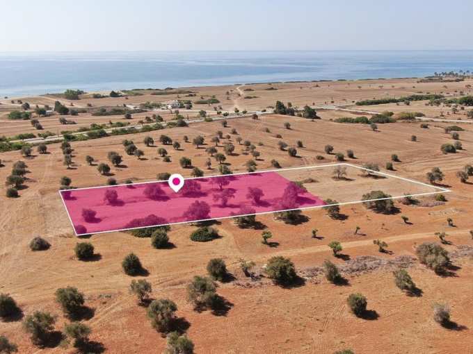 Land For Sale, Larnaca, Mazotos, Property for sale or rent in Cyprus