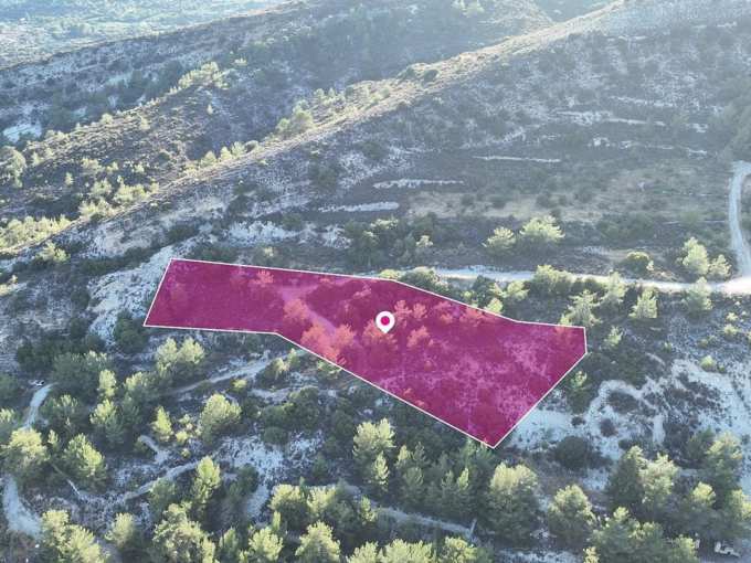 Land For Sale, Limassol, Pera Pedi, Property for sale or rent in Cyprus