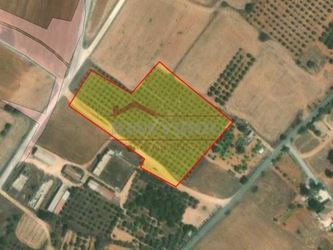 Land For Sale, Famagusta, Avgorou, Property for sale or rent in Cyprus