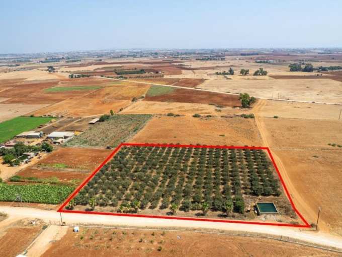 Plot For Sale, Famagusta, Avgorou, Property for sale or rent in Cyprus