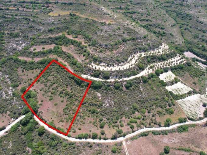 Plot For Sale, Limassol, Pachna, Property for sale or rent in Cyprus