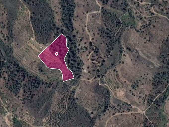 Land For Sale, Nicosia, Platanistasa, Property for sale or rent in Cyprus