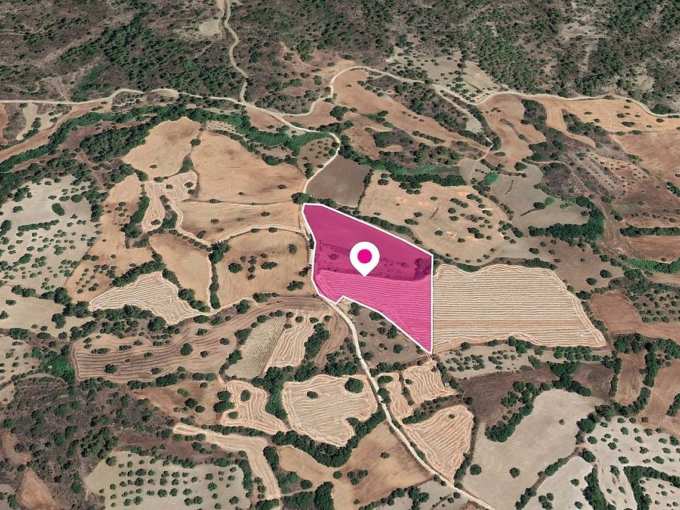 Land For Sale, Paphos, Lysos, Property for sale or rent in Cyprus