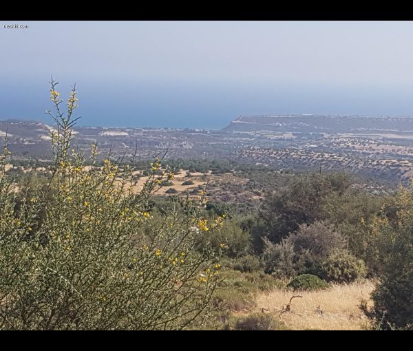 For Sale Land in Limassol, Property for sale or rent in Cyprus