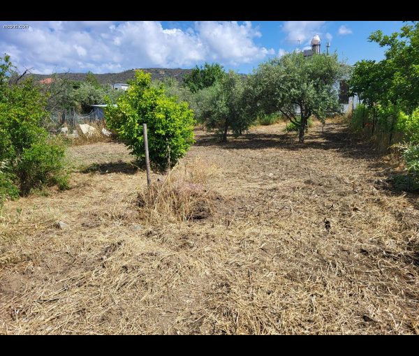 For Sale Land in Limassol, Property for sale or rent in Cyprus