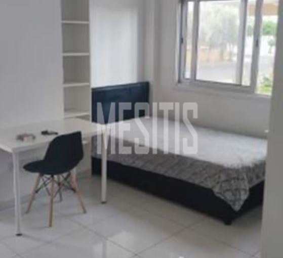 Studio For Rent, Lefkosia, Engomi, Property for sale or rent in Cyprus