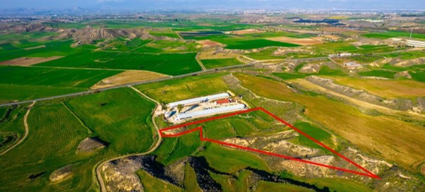 The &Alpha;rt of the Smart Deal, Property for sale or rent in Cyprus