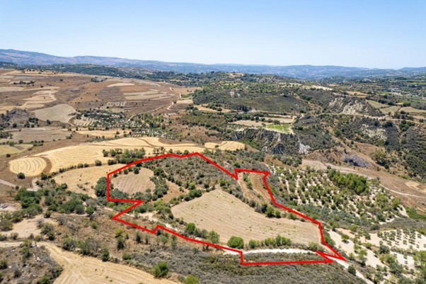 The &Alpha;rt of the Smart Deal, Property for sale or rent in Cyprus