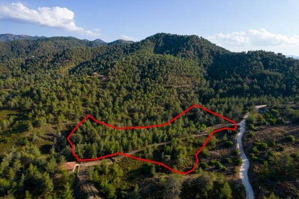 The &Alpha;rt of the Smart Deal, Property for sale or rent in Cyprus